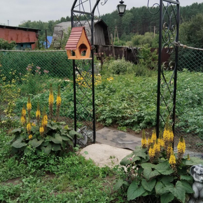 Деревянная кормушка