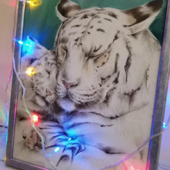 Картина пастелью Белые тигры